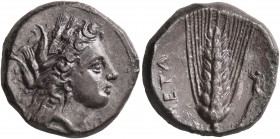LUCANIA. Metapontion. Circa 330-290 BC. Didrachm or Nomos (Silver, 19 mm, 7.72 g, 4 h). Head of Demeter to right, wearing wreath of grain ears, triple...