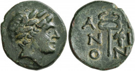 THRACE. Ainos. 3rd century BC. AE (Bronze, 19 mm, 4.38 g, 1 h). Laureate head of Apollo to right. Rev. A-I/N-I/O-N Kerykeion; to right, grapes. AMNG I...