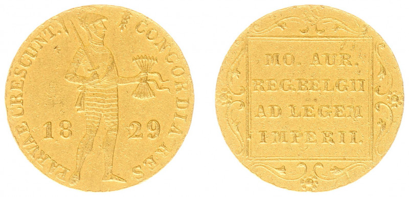 Koninkrijk NL Willem I (1815-1840) - Gouden Dukaat 1829 U (Sch. 213) - PR, gecor...