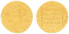 Koninkrijk NL Willem I (1815-1840) - Gouden Dukaat 1829 U (Sch. 213) - PR-, iets gegolfd muntplaatje