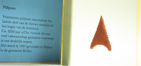 Varia - Curiosa - Vuurstenen pijlpunt (Hijken, ca. 2000 v.Chr.) in kunsthars als beloning uitgereikt door de provincie Drenthe