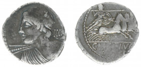Later-Denarius Coinage (ca. 154-41 BC) - C. Licinius L.f. Macer - AR Denarius (Rome 84 BC, 3.98 g) - Diademed and draped bust of Apollo Veiovis left, ...