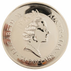 Australia - Elizabeth II (1952- ) - 30 Dollars 1992 - Kookaburra (KM181) - Obv: Crowned head right / Rev: Kookaburra on stump - 1.000 gram fine Silver...
