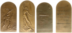 Belgium - Medals & Tokens - ND (ca. 1910) - Plaquette 'Aero-Club de Belgique' by G. Devreese - Obv. Woman and boy releasing eagle; bi-plane in the sky...