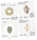 China - Lot Western Zhou (1122-771BC) Pseudo-money, imitation of cowrie in bronze, stone (2), jade, as substitutes for shell cowries - lot of 4 pieces...
