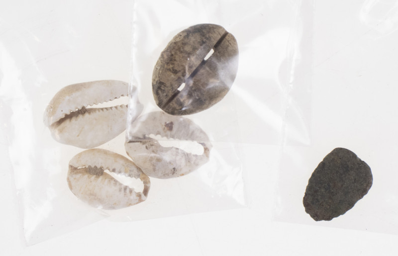 Divers - Small lot (5) with Shang dynasty & early Zhou Cowrie shell money, the v...