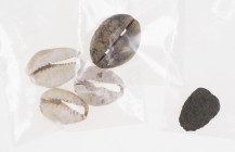 Divers - Small lot (5) with Shang dynasty & early Zhou Cowrie shell money, the very first money of China, with the back filed off (3) (DH1.1), a bone ...