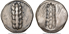 LUCANIA. Metapontum. Ca. 470-440 BC. AR stater (21mm, 7.72 gm, 12h). NGC VF 5/5 - 3/5. MET, six-grained barley ear; beaded border on raised rim / Incu...
