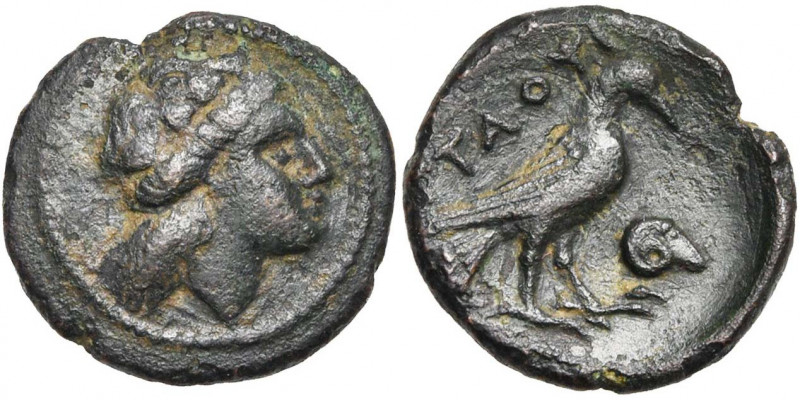 LUCANIE, LAOS, AE bronze, 4e s. av. J.-C. D/ T. de Dionysos à d., cour. de lierr...