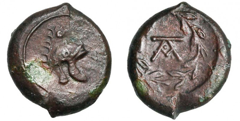SICILE, CAMPANIENS DE L''ETNA, AE bronze, 344-336 av. J.-C. D/ Casque campanien ...