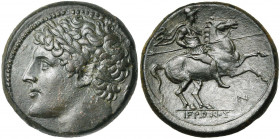 SICILE, SYRACUSE, Hiéron II (275-216), AE bronze. D/ T. l. d''Hiéron à g. Derrière, massue. R/ Cavalier au galop à d., ten. une lance. Sous les jambes...