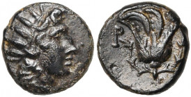 ILES DE CARIE, RHODES, ville de Rhodes, AE bronze, vers 166-88 av. J.-C. D/ T. r. de Rhodos à d., portant un collier et un pendant d''oreille. R/ P-O ...