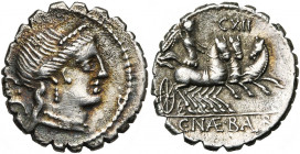 C. Naevius Balbus, AR denier serratus, 79 av. J.-C., Rome. D/ T. diad. de Vénus à d. Derrière, S·C. R/ C·NAE·BALB Victoire conduisant un trige à d. Au...