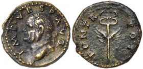 VESPASIEN (69-79), AE quadrans, 74, Syrie. D/ IMP VESP AVG T. l. à g. R/ PON TR POT Caducée ailé. BMC - (D/ 217, 881, R/ 218, 882 pour Titus); RIC 157...