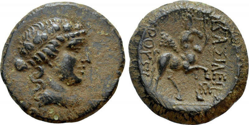 KINGS OF BITHYNIA. Prusias II Kynegos (182-149 BC). Ae. Nikomedeia. 

Obv: Dra...