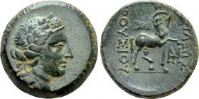 KINGS OF BITHYNIA. Prusias II Kynegos (182-149 BC). Ae. Nikomedeia