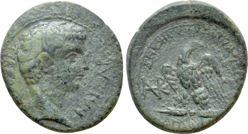 PHRYGIA. Apamea. Tiberius (14-37). Ae. Gaois Ioulios Kallikles, magistrate. 

...