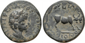 DECAPOLIS. Petra. Elagabal (218-222). Ae