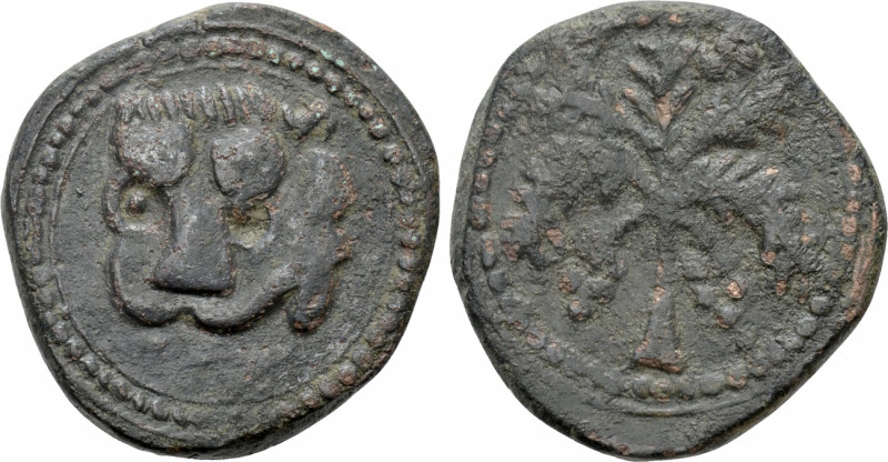 ITALY. Sicily. Guglielmo II (1166-1189). Trifollaro. Messina. 

Obv: Head of l...