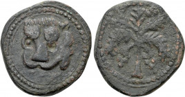 ITALY. Sicily. Guglielmo II (1166-1189). Trifollaro. Messina
