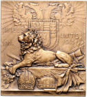 Die Mittelmächte - Allgemein Eins. Bronzeplakette 1915 (v. Stiasny) auf die Waffenbrüderschaft zwischen Deutschland, Österreich und der Türkei Wurzbac...