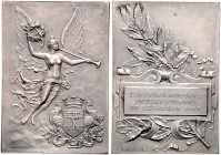 - Jugendstil Bronzeplakette o.J. versilbert (v. Delpech) Prämie des Musikwettbewerbes in Besancon, i.Rd: viereckige Punze u. DOUBLÉ 
41x59mm 63,9g in...