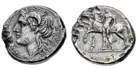 Campania
Nuceria Alfaterna - Didramma databile al periodo 250-225 a.C. - Diritto: testa di Apollo Karneios a sinistra; a destra, nel campo, un delfin...