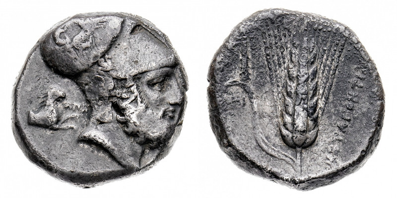 Lucania
Metaponto - Distatere databile al periodo 340-330 a.C. - Diritto: testa...