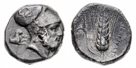 Lucania
Metaponto - Distatere databile al periodo 340-330 a.C. - Diritto: testa di Leucippo a destra con elmo corinzio; nel campo a sinistra una prot...