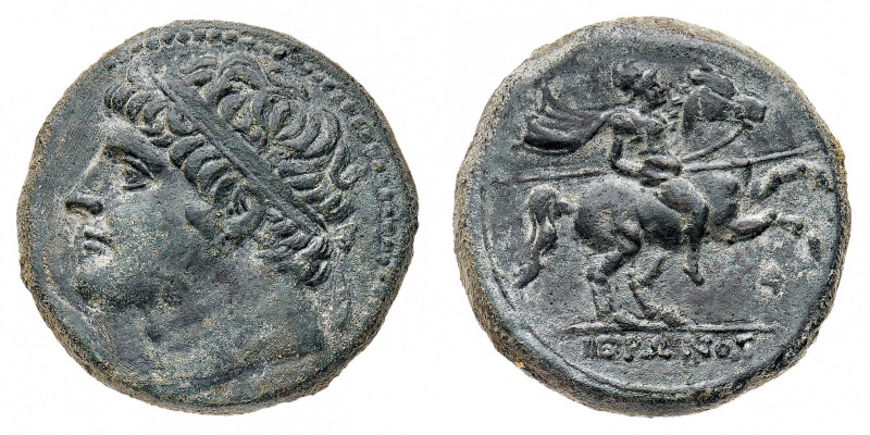 Sicilia
Gerone II (274-216 a.C.) - AE26 - Diritto: testa laureata di Gerone a s...