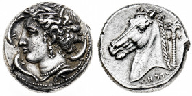Sicilia
Dominazione punica - Siracusa - Tetradramma databile al periodo 350-325 a.C. - Diritto: testa di Aretusa a sinistra; attorno quattro delfini ...