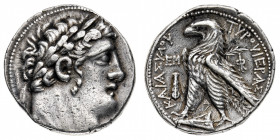 Fenicia
Tiro - Tetradramma (Shekel) databile agli anni 80-79 a.C. - Diritto: testa diademata di Melqart a destra - Rovescio: aquila stante a sinistra...