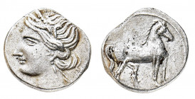 Zeugitania
Cartagine - 1/4 di Shekel databile al periodo 220-210 a.C. - Diritto: testa laureata di Tanit a sinistra - Rovescio: cavallo stante a dest...