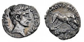 Augusto (27 a.C. - 14 d.C.)
Denario databile al 19 a.C. (M. Durmius) - Zecca: Roma - Diritto: testa laureata dell'Imperatore a destra - Rovescio: cin...