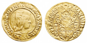 Antegnate
Giovanni II Bentivoglio (1494-1506) - Doppio Ducato - Diritto: busto di Giovanni II a destra - Rovescio: stemma coronato sormontato da un'a...