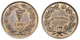 Vittorio Emanuele II (1861-1878)
Studi per la monetazione del Regno (1860-1861) - Esperimento 1860 - Zecca: Milano - Diritto: biscione con data entro...