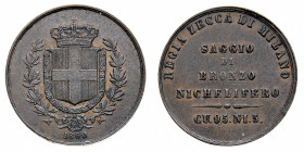 Vittorio Emanuele II (1861-1878)
Studi per la monetazione del Regno (1860-1861) - Saggio di bronzo nichelifero 1860 - Zecca: Milano - Diritto: stemma...