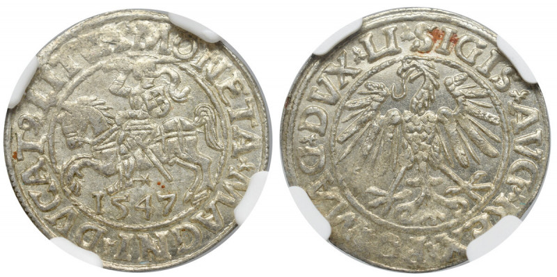 Sigismund II Augustus, Halfgroat 1547, Vilnius - NGC MS65 Piękny, okazowy egzemp...