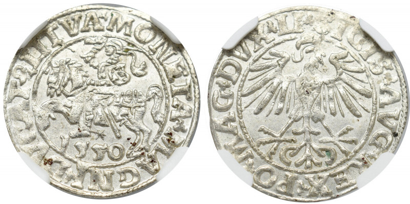 Sigismund II Augustus, Halfgroat 1550, Vilnius - LI/LITVA NGC MS66 Piękny, menni...