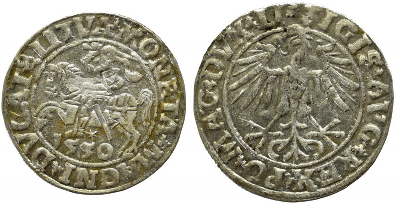 Sigismund II Augustus, Halfgroat 1550, Vilnius Ładny egzemplarz z dużą ilością p...