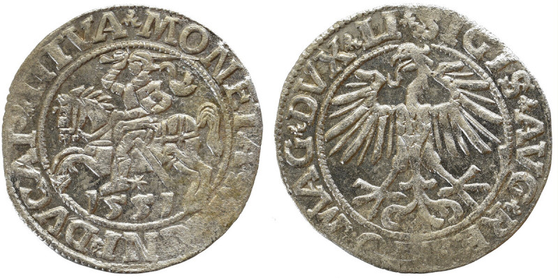 Sigismund II Augustus, Halfgroat 1551, Vilnius - LI/LITVA Ładny, dobrze wybity e...