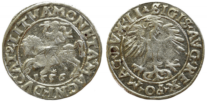 Sigismund II Augustus, Halfgroat 1556, Vilnius Ładny, centralnie niedobity egzem...