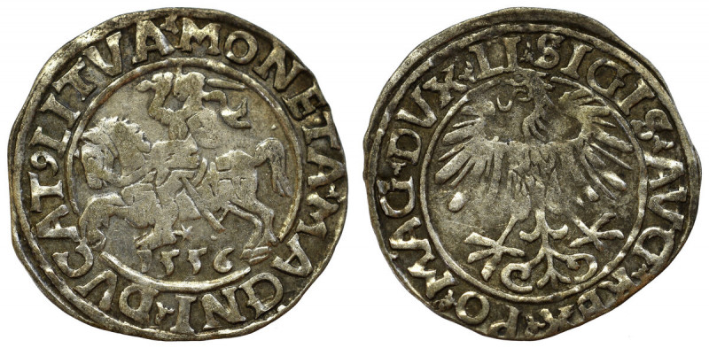 Sigismund II Augustus, Halfgroat 1556, Vilnius Obiegowy egzemplarz. Patyna. Refe...