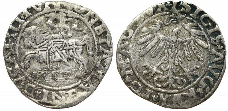 Sigismund II August, Half-groat 1557, Vilnius - LI/LITVA W pełni czytelny egzemp...