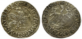 Sigismund II Augustus, Halfgroat 1557, Vilnius
