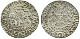 Sigismund II Augustus, Halfgroat 1558, Vilnius RR