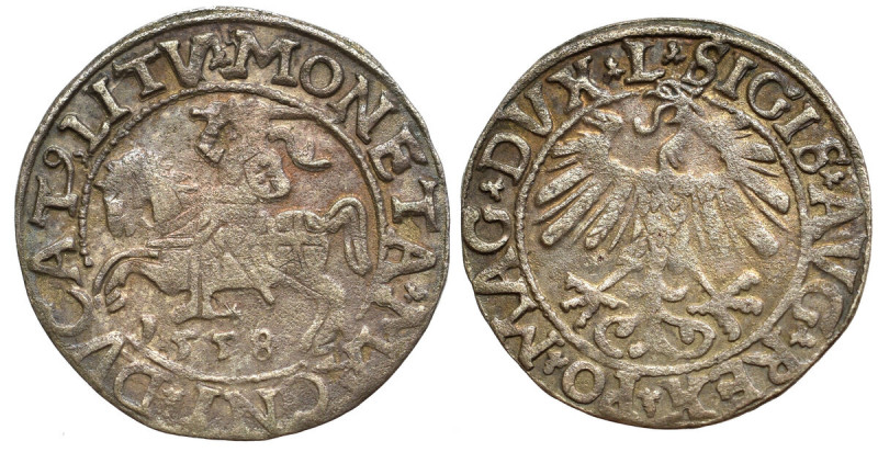 Sigismund II Augustus, Halfgroat 1558, Vilnius Ładny, centralnie niedobity egzem...