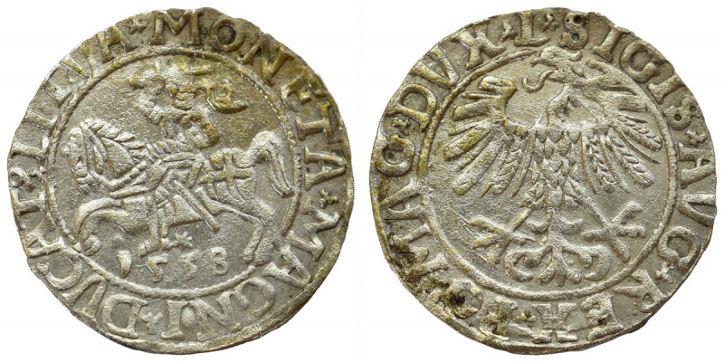 Sigismund II Augustus, Halfgroat 1558, Vilnius Bardzo ładnie zachowany egzemplar...