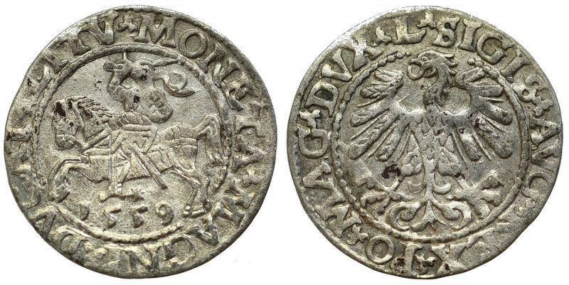 Sigismund II Augustus, Halfgroat 1559, Vilnius Ładnie zachowany egzemplarz. Paty...