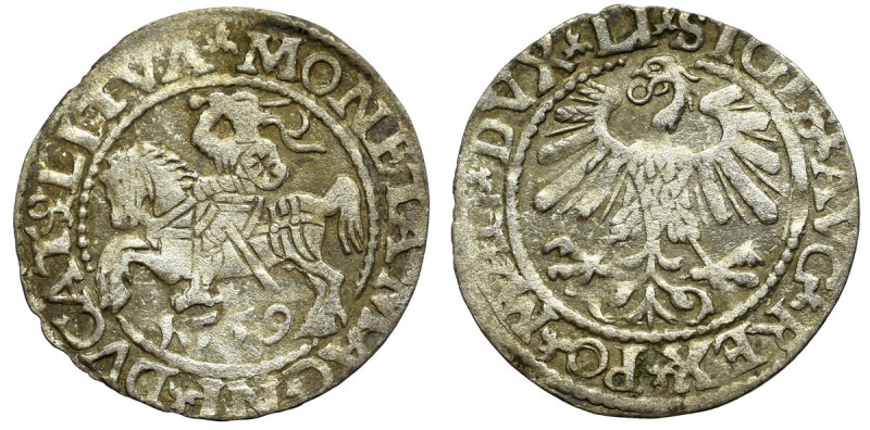 Sigismund II Augustus, Halfgroat 1559, Vilnius Obiegowy egzemplarz w naturalnej ...